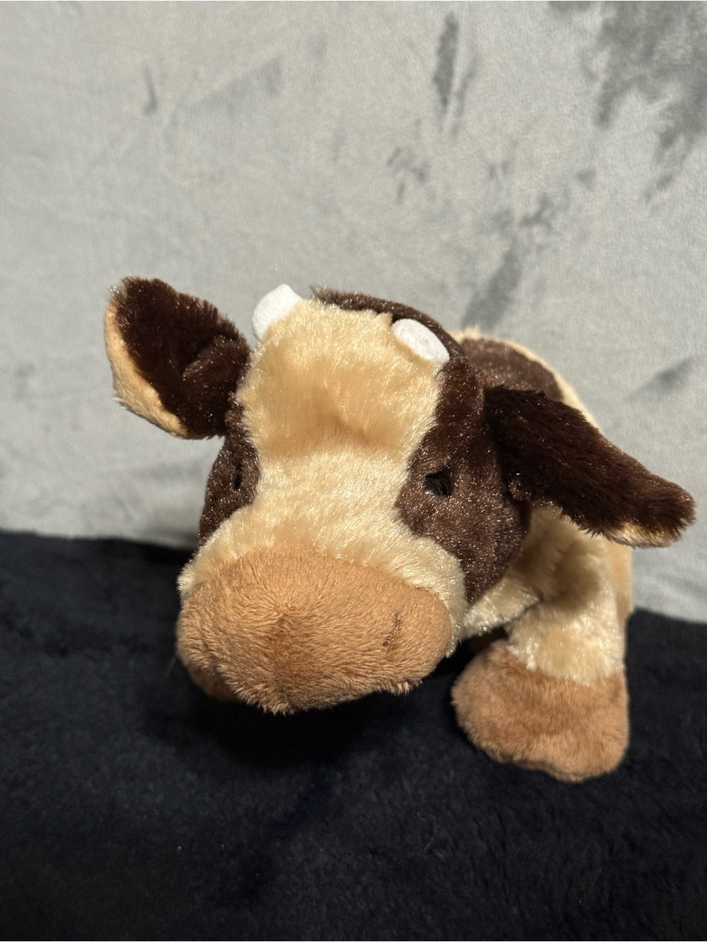 Webkinz Brown Cow Plush GANZ HM197 Retired Vintage 2008